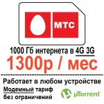 mts1300-1000gb.jpg