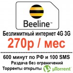 beeline200-3g-4g.jpg