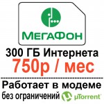 meg-750-300gb.jpg