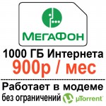 meg-900-100gb.jpg