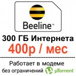 beeline400-300gb.jpg