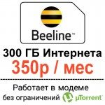 beeline350-300gb-4g.jpg